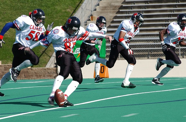 新的篇章 新的篇章