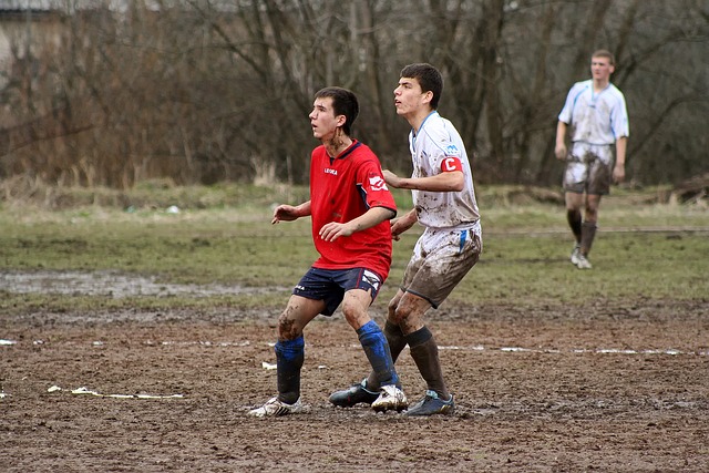 们自己的 们自己的