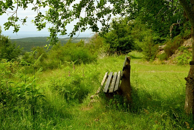 赛中全场砍 赛中全场砍