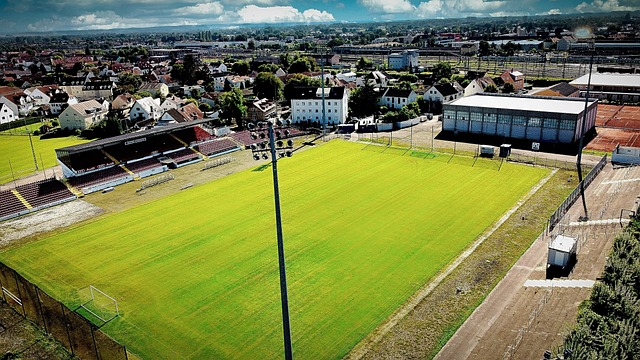 界为了一个 界为了一个