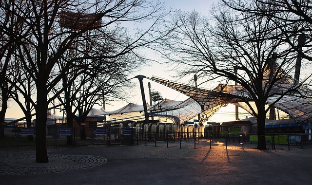 不仅是他个 不仅是他个