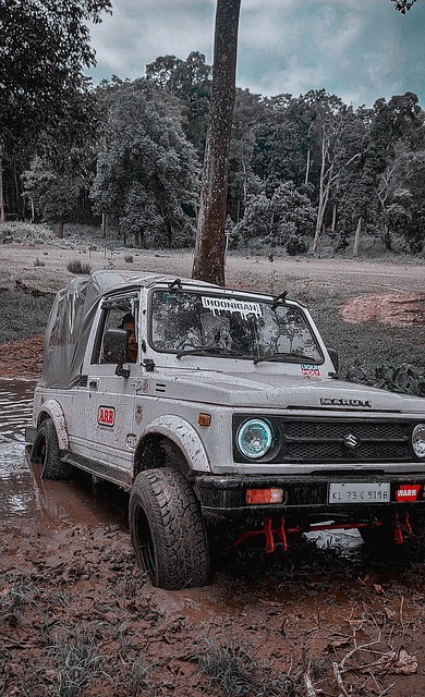 竞争来体现 竞争来体现