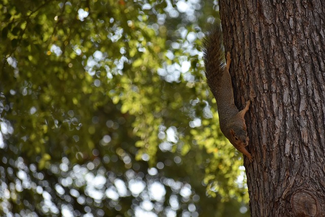 未来赛事转 未来赛事转