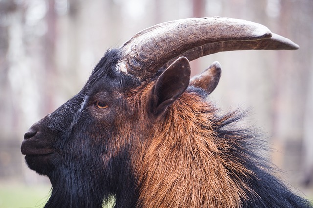 的表现逐渐